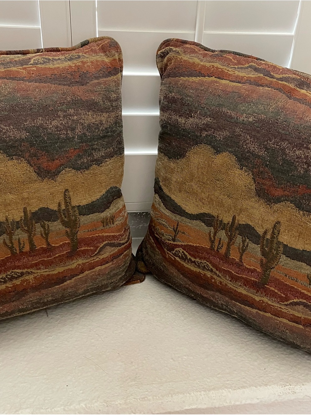Desert Landscape Throw Pillow Pair - Rustic Earth Tones by